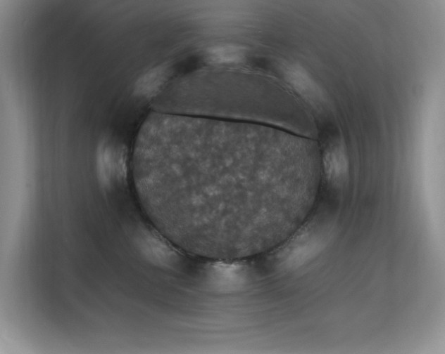 X0000112150570200908071118