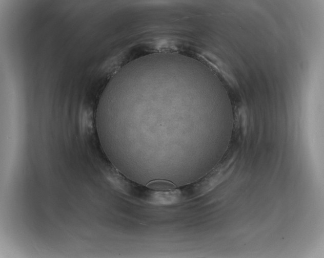X0000112150571200908071118