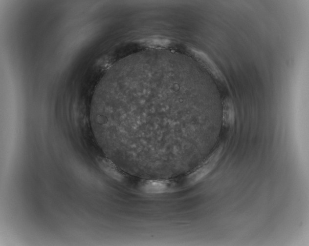 X0000112150573200908071118