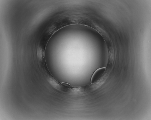 X0000112150574200908071118