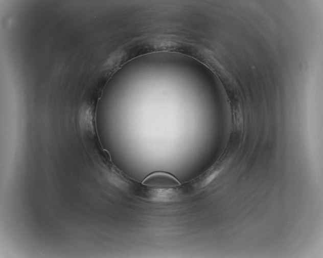 X0000112150575200908071118