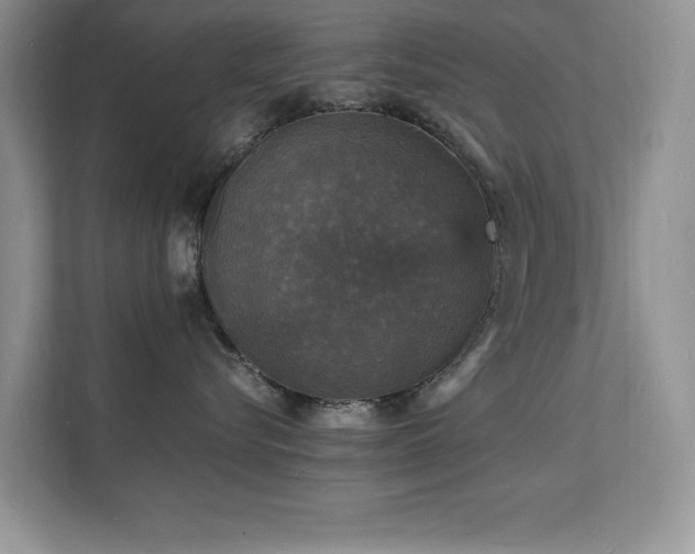 X0000112150576200908071118