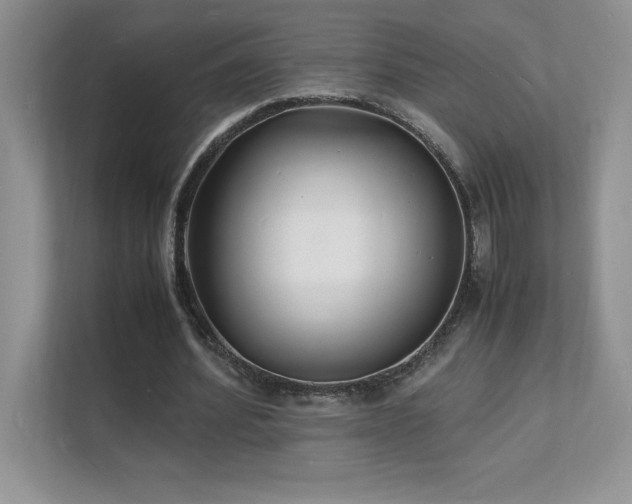 X0000112150580200908071118