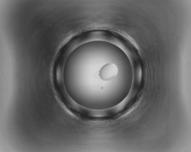 X0000112150581200908071118