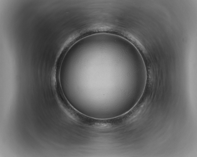X0000112150582200908071118