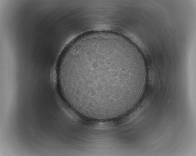 X0000112150584200908071118
