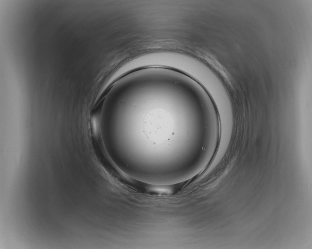 X0000112150585200908071118
