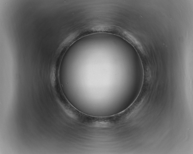 X0000112150586200908071118