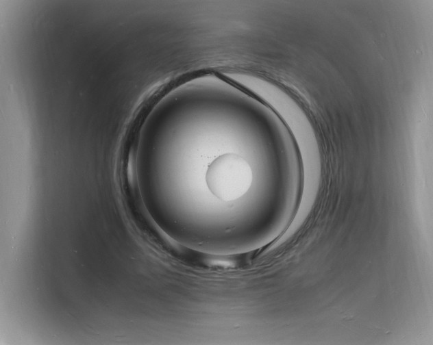 X0000112150587200908071117