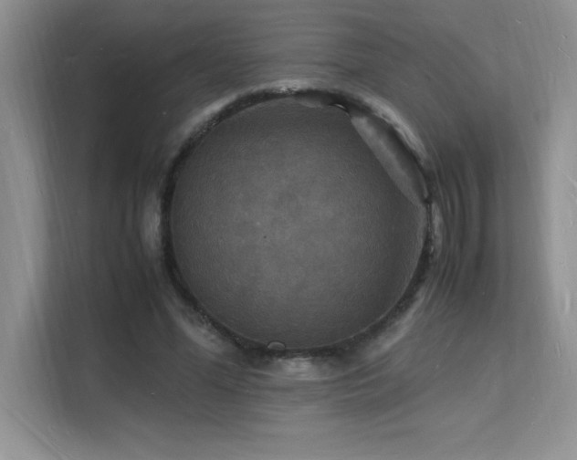 X0000112150588200908071117