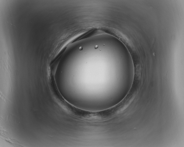 X0000112150589200908071117