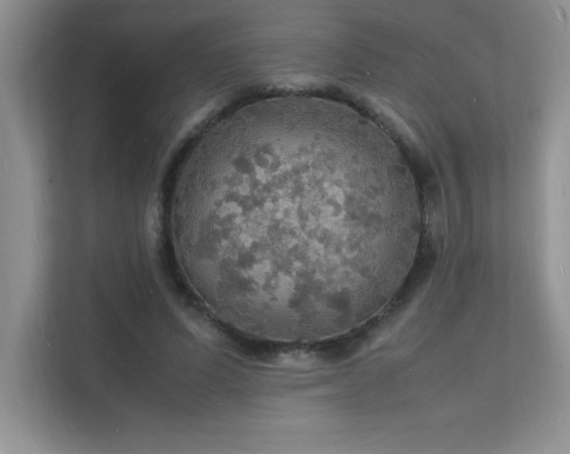 X0000112150591200908071117