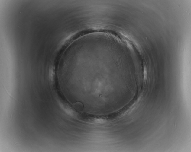 X0000112150592200908071117