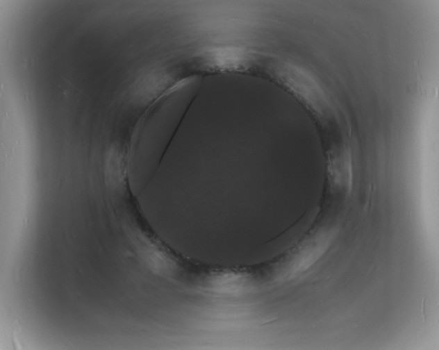 X0000112150593200908071117