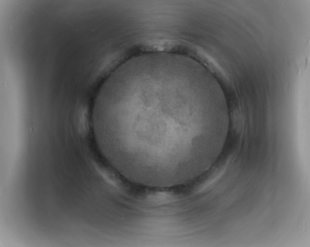 X0000112150594200908071117