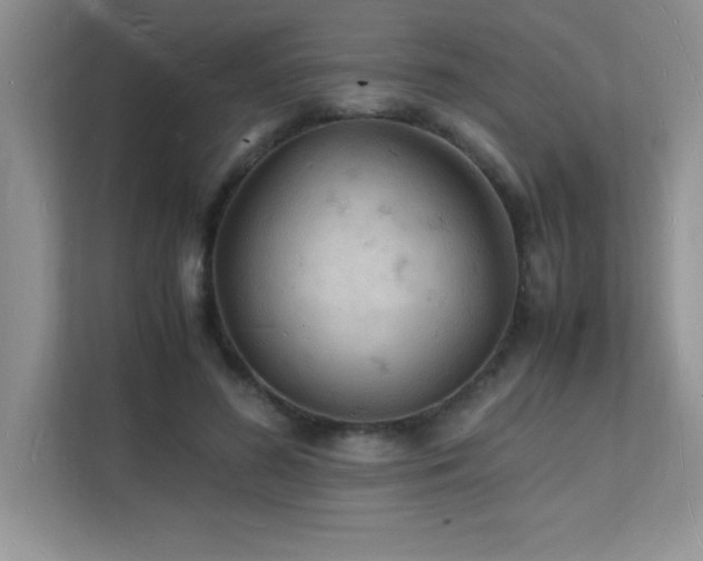 X0000112150596200908071117