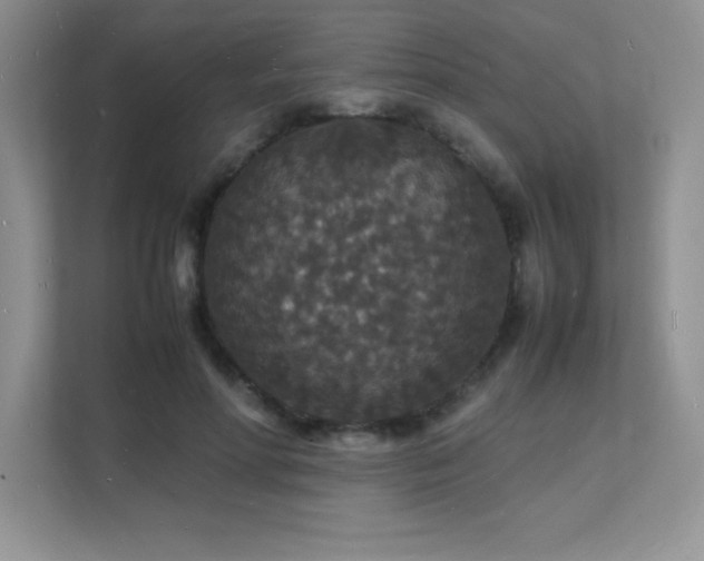 X0000112150598200908071117