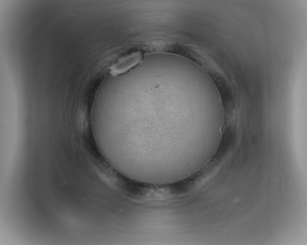 X0000112150599200908071117