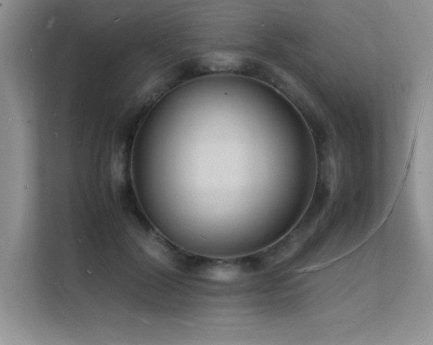 X0000112150604200908071117