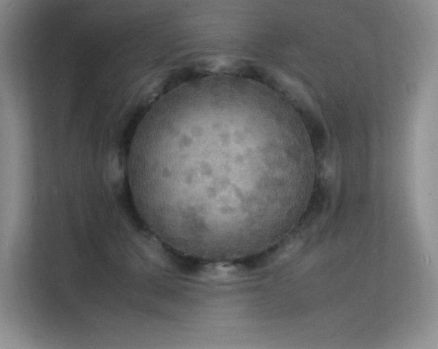 X0000112150607200908071117