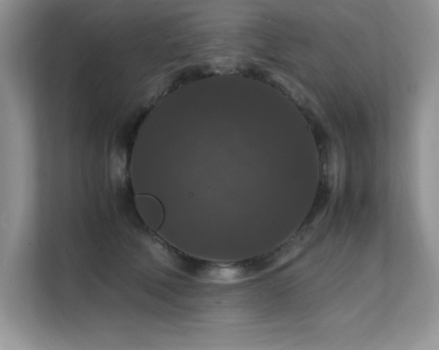 X0000112150610200908071117
