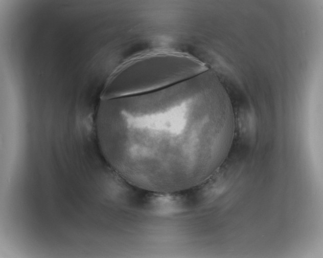 X0000112150611200908071117