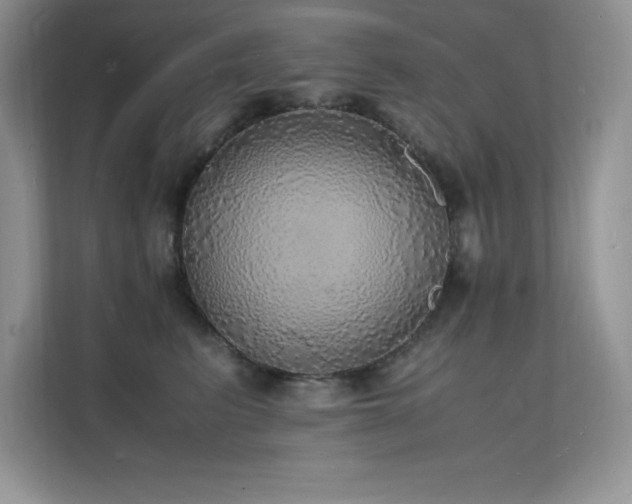 X0000112150615200908071117