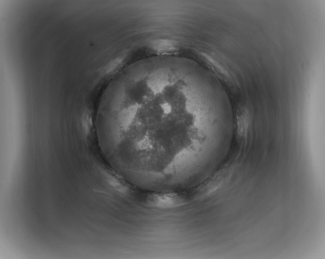 X0000112150618200908071117