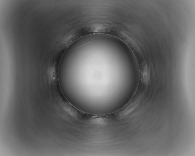 X0000112150620200908071117