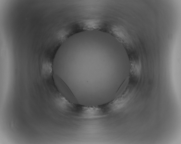 X0000112150621200908071117