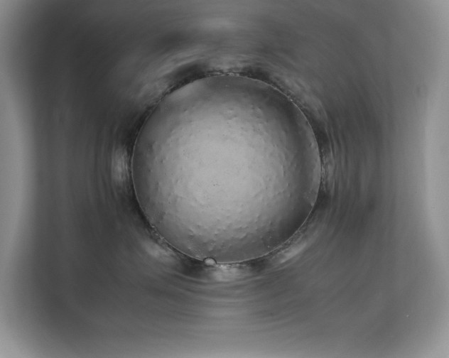 X0000112150623200908071117