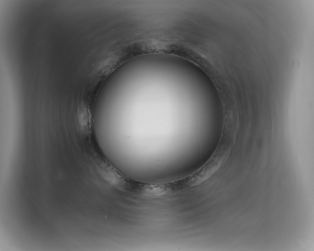 X0000112150624200908071117
