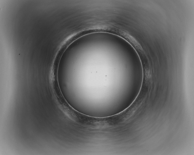 X0000112150628200908071116
