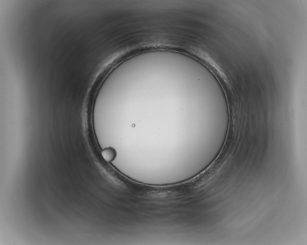 X0000112150629200908071116