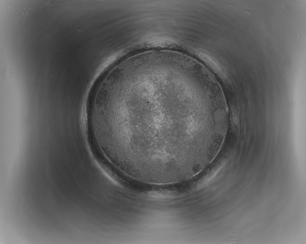 X0000112150630200908071116