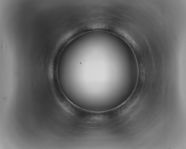 X0000112150631200908071116