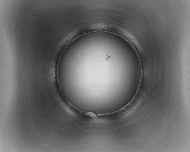 X0000112150633200908071116