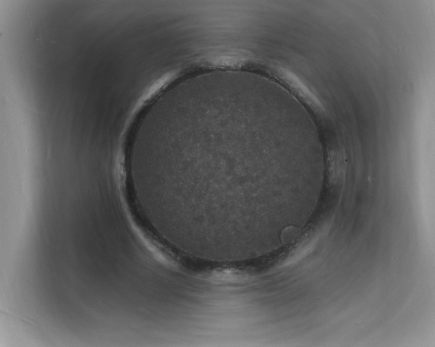 X0000112150634200908071117