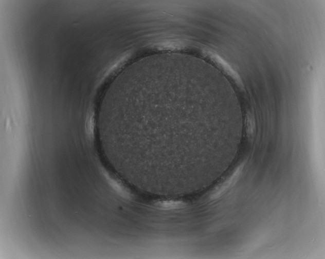 X0000112150637200908071117