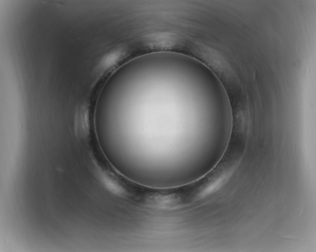 X0000112150638200908071117