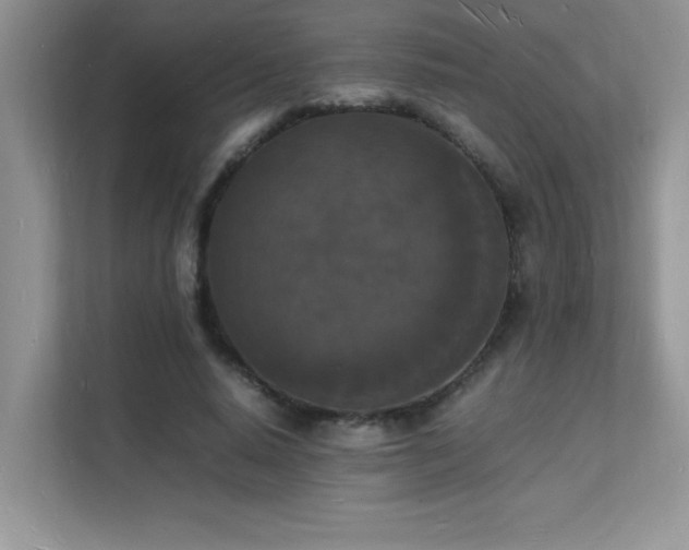 X0000112150640200908071117