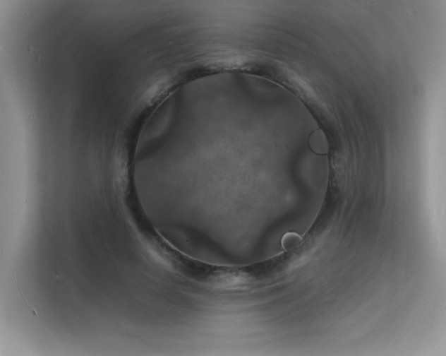 X0000112150642200908071117