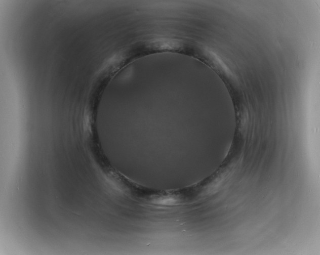 X0000112150643200908071117