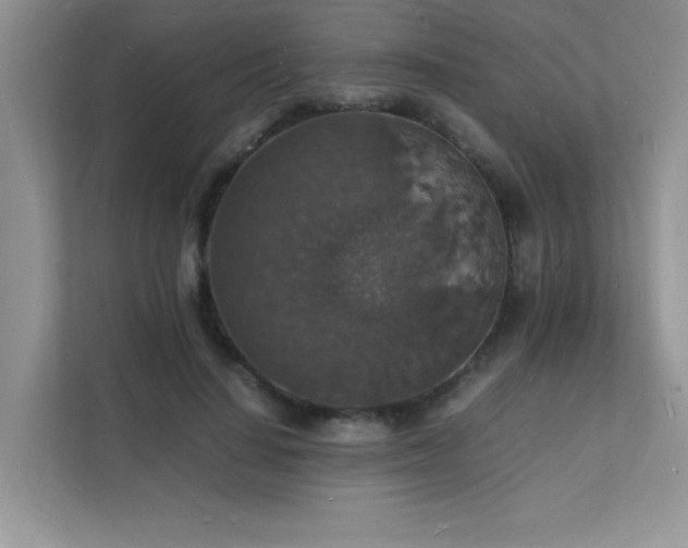 X0000112150644200908071117