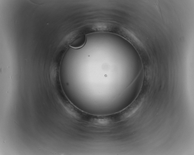 X0000112150645200908071117
