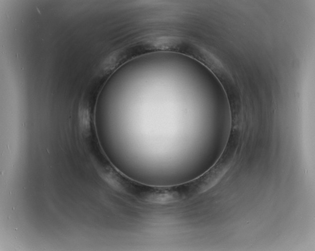 X0000112150646200908071117