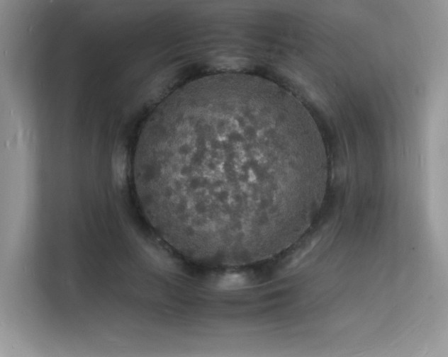 X0000112150647200908071117