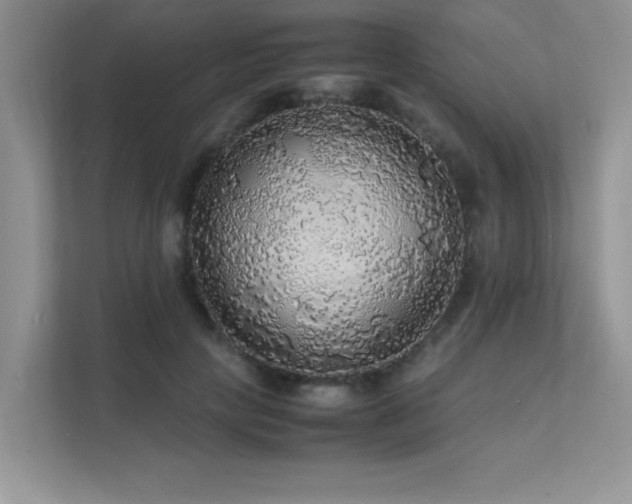 X0000112150649200908071117