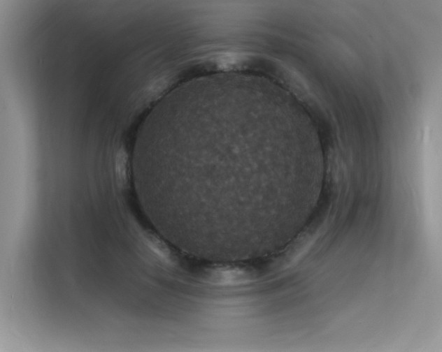 X0000112150650200908071117