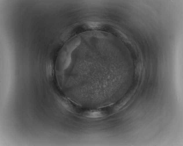 X0000112150651200908071117
